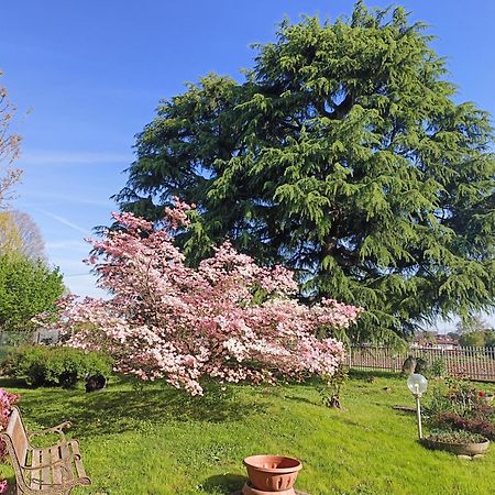 B&B Il Melograno Lomazzo Zewnętrze zdjęcie