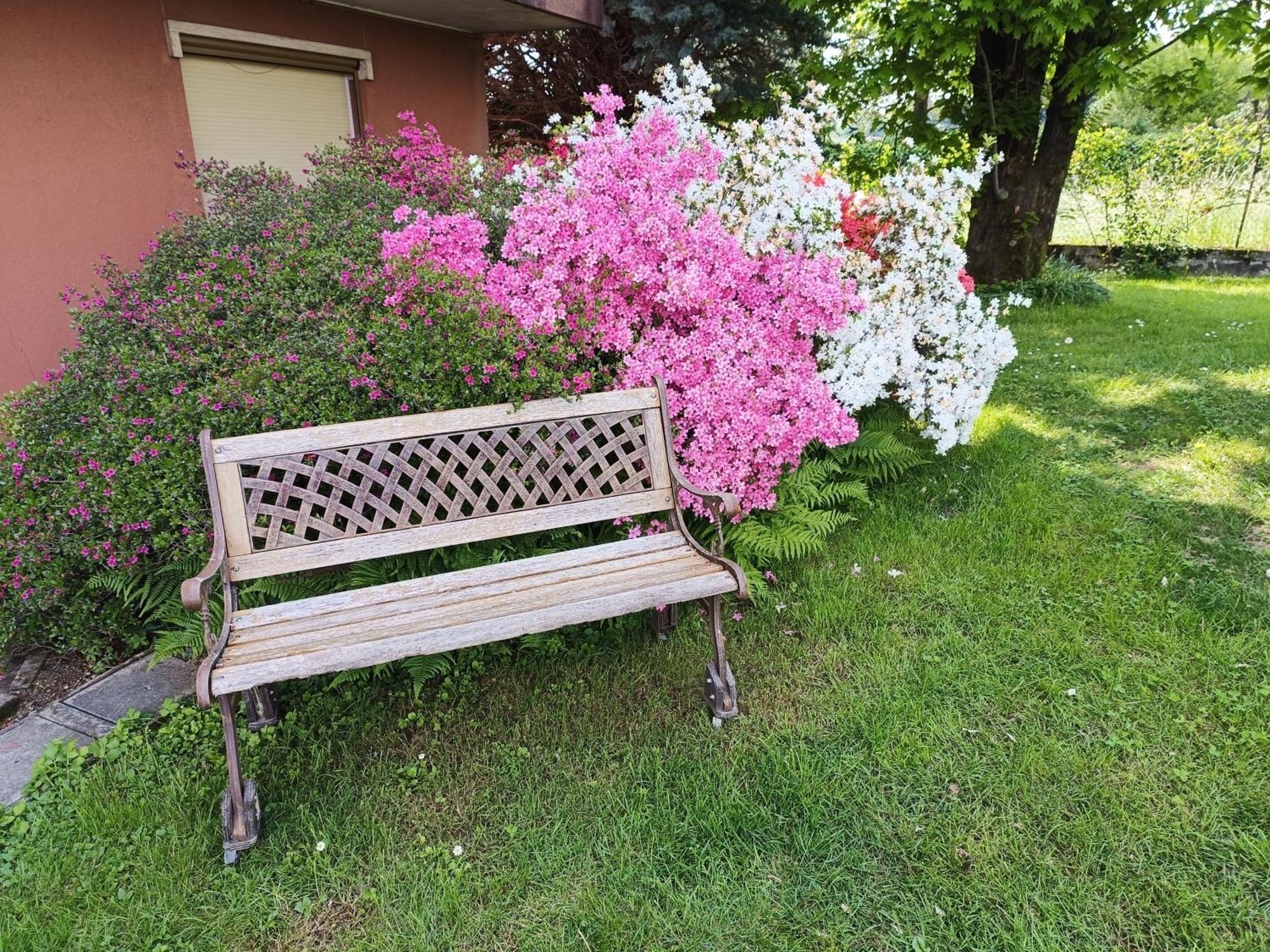 B&B Il Melograno Lomazzo Zewnętrze zdjęcie