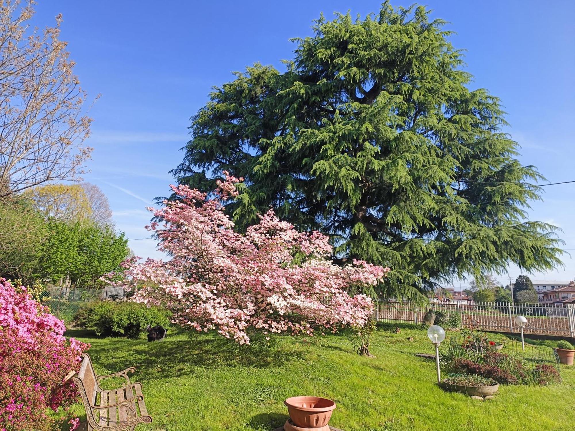 B&B Il Melograno Lomazzo Zewnętrze zdjęcie